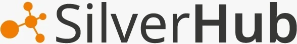 Logo Silver Hub